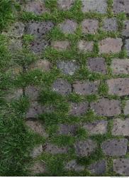 Photo Textures of Floor Stones